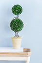 D7x22'H Two-Tiered Faux Boxwood Sphere Topiary in Cream Pot